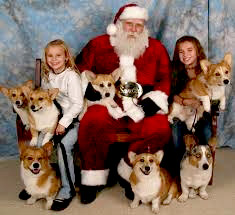Santa photos, teeth cleaning at Bone-Appetit Dec. 5